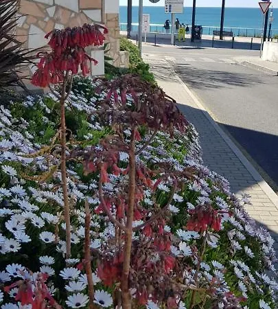 Albufeirasun, Arrive As A Guest Leave As A Friend. Apartmán