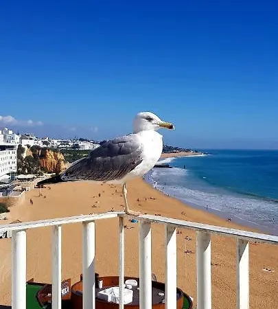 Albufeirasun, Arrive As A Guest Leave As A Friend. Appartement Albufeira