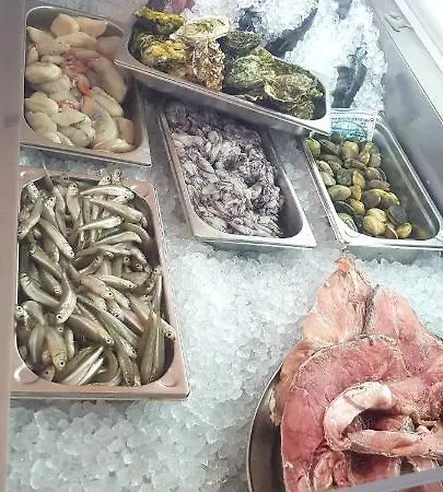 Albufeirasun, Arrive As A Guest Leave As A Friend. Apartmán