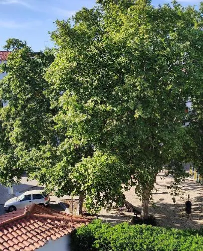 Apartment Albufeirasun, Arrive As A Guest Leave As A Friend. *