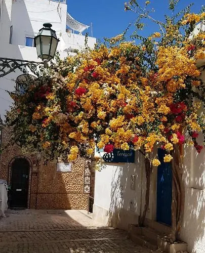 Albufeirasun, Arrive As A Guest Leave As A Friend. *