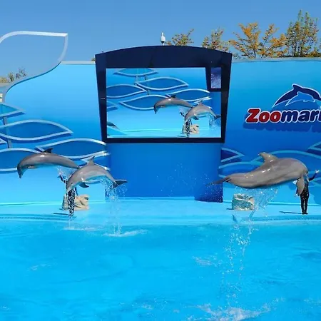 Albufeirasun, Arrive As A Guest Leave As A Friend. Albufeira