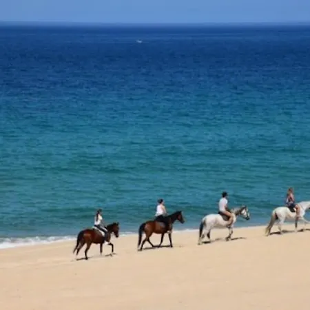 Albufeirasun, Arrive As A Guest Leave As A Friend.