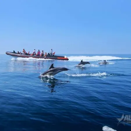 Albufeirasun, Arrive As A Guest Leave As A Friend. Апартаменты Албуфейра