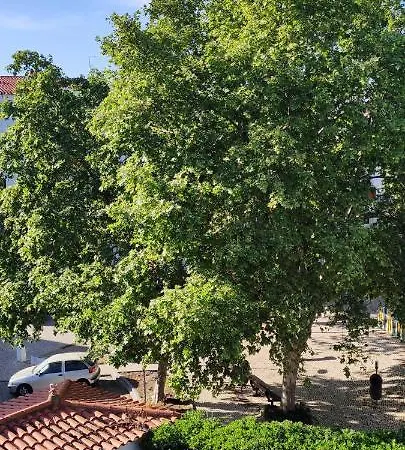 Апартаменты Albufeirasun, Arrive As A Guest Leave As A Friend. *