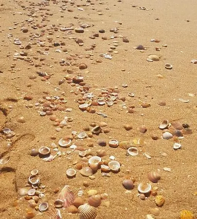 Albufeirasun, Arrive As A Guest Leave As A Friend. *