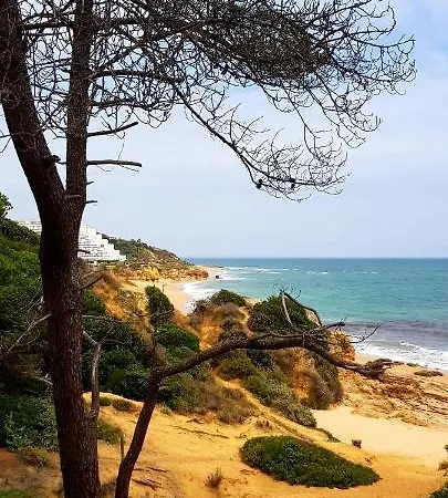 Albufeirasun, Arrive As A Guest Leave As A Friend. Daire *